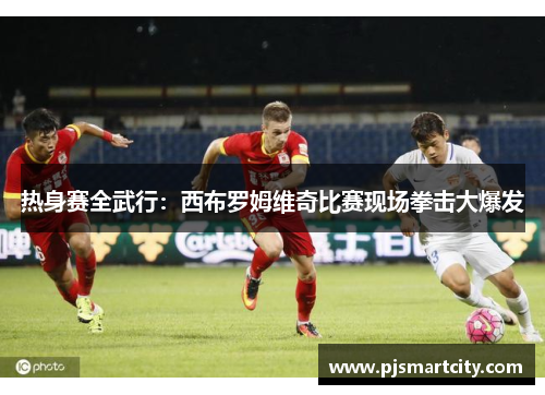 热身赛全武行：西布罗姆维奇比赛现场拳击大爆发