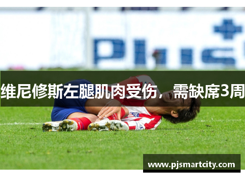 维尼修斯左腿肌肉受伤，需缺席3周